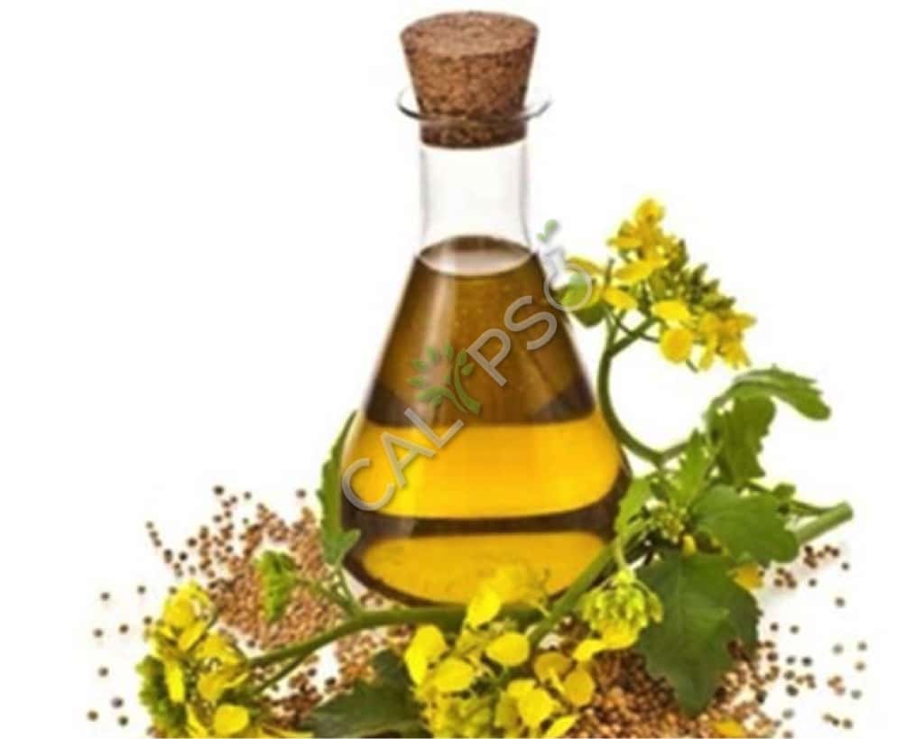 Comprare olio essenziale di sedano puro